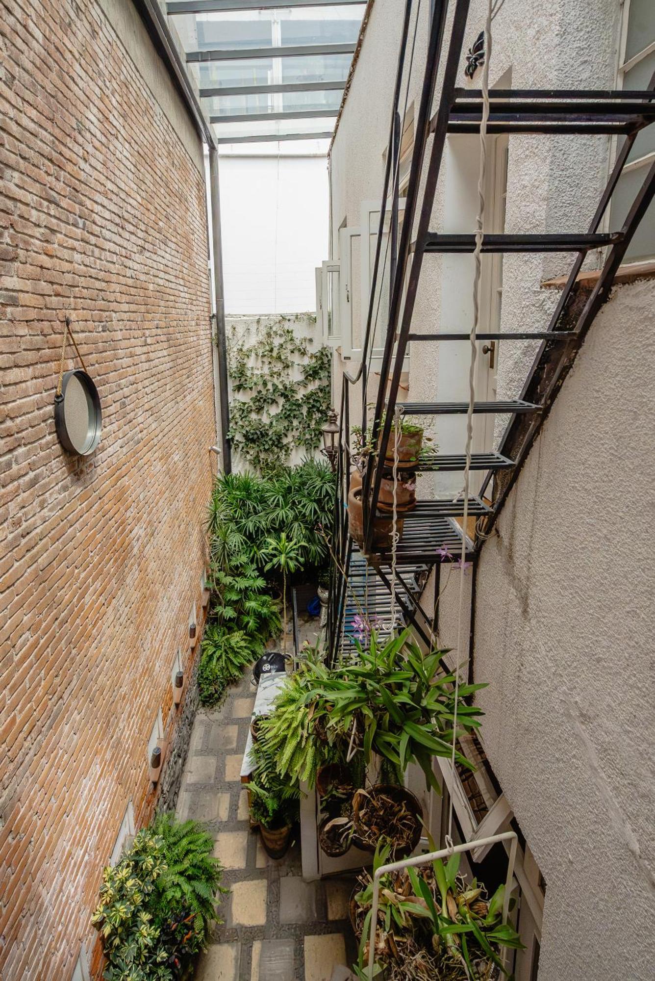 Casa Chapulin-mexican Eclectic In Roma Norte